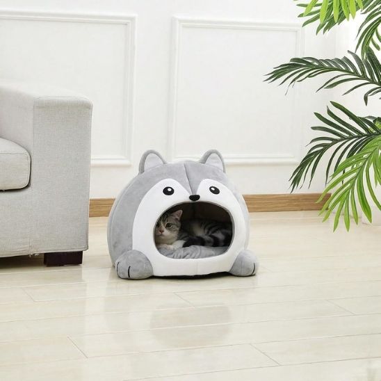 Niche pour chat avec chaton blotti dans un intérieur chaud et sécurisant