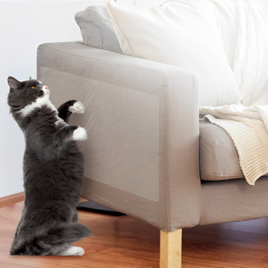 Protection anti griffe chat fixée discrètement sur canapé gris – GriffoGard