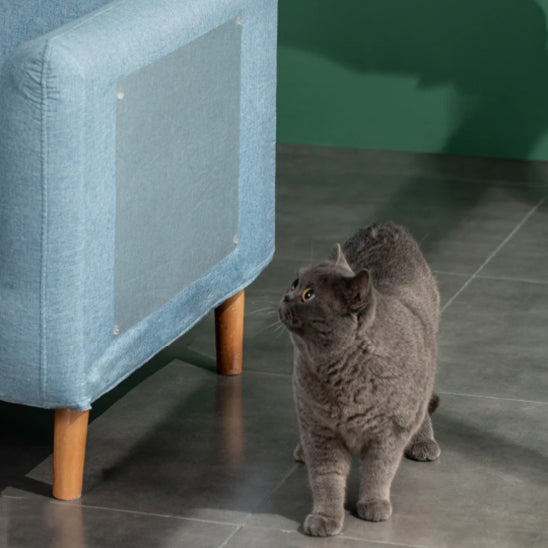 Protection anti griffe chat sur fauteuil bleu sans griffures – GriffoGard