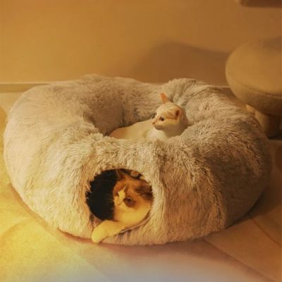 Chat à l’intérieur d’un tunnel pour chat avec cachette intégrée et deuxième chat au-dessus