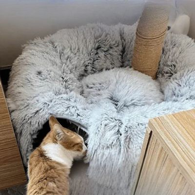 Chat explorant un tunnel pour chat en fausse fourrure grise, avec espace intérieur caché