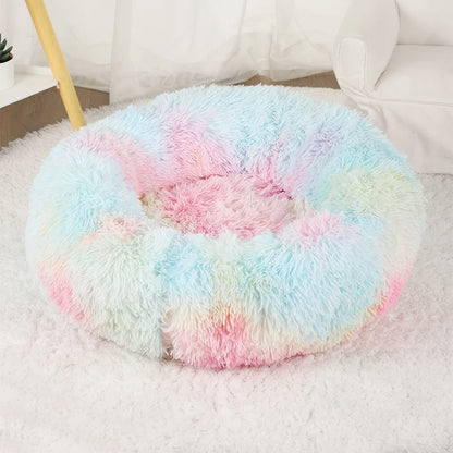 Coussin pour chat moelleux multicolore pastel vide, posé sur un tapis blanc devant un rideau transparent