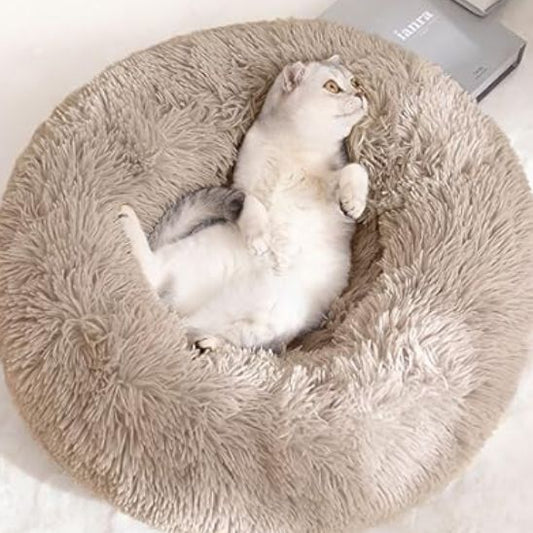 Chat blanc et gris allongé sur le dos dans un grand coussin pour chat beige pelucheux près d’un mur