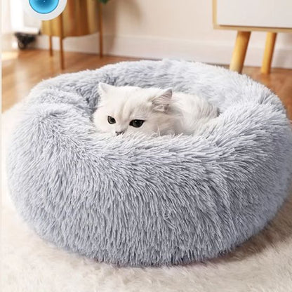 Chat blanc aux yeux sombres installé dans un coussin pour chat moelleux gris givré posé sur un sol clair