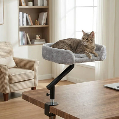 Panier chat suspendu fixé sur un bureau près d’une fenêtre avec un chat gris HAUTNID