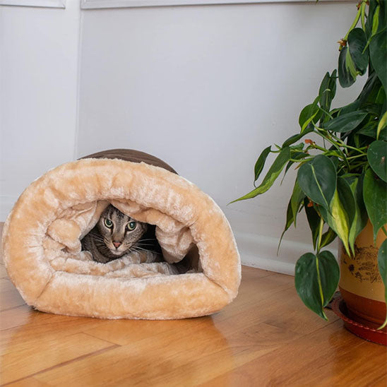 Chat gris blotti dans un sac de couchage beige douillet près d'une plante verte