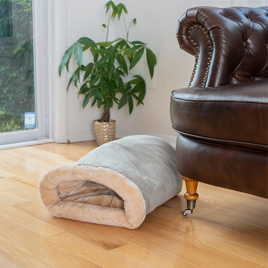 Sac de couchage pour chat gris et beige près d'un fauteuil en cuir et d'une plante.