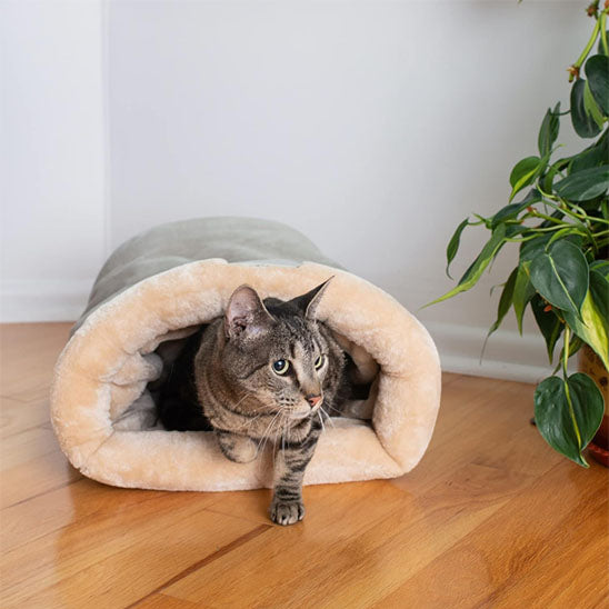 Chat gris sortant d'un sac de couchage beige sur parquet clair.