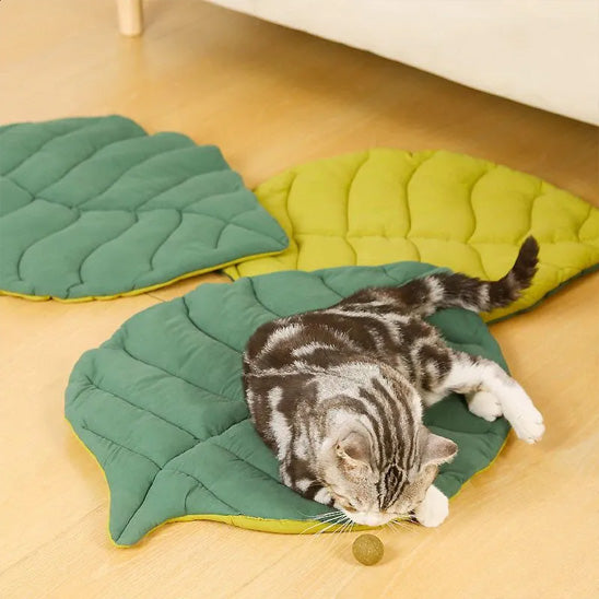 Gros plan du tapis pour chat Feuilluxe, rembourrage doux et moelleux
