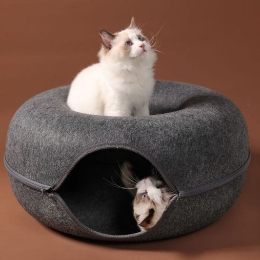 Chat sur le Miaunnel™, un autre caché à l’intérieur du tunnel pour chat