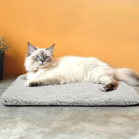 Chat Ragdoll allongé sur coussin auto-chauffant gris effet mouton, fond orange – WarmPaws.