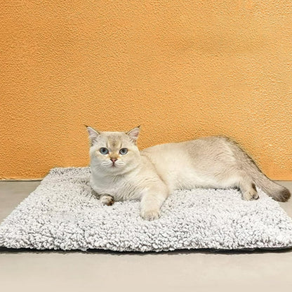 Chat crème sur coussin auto-chauffant gris bouclé, posé au sol devant mur orange – WarmPaws.
