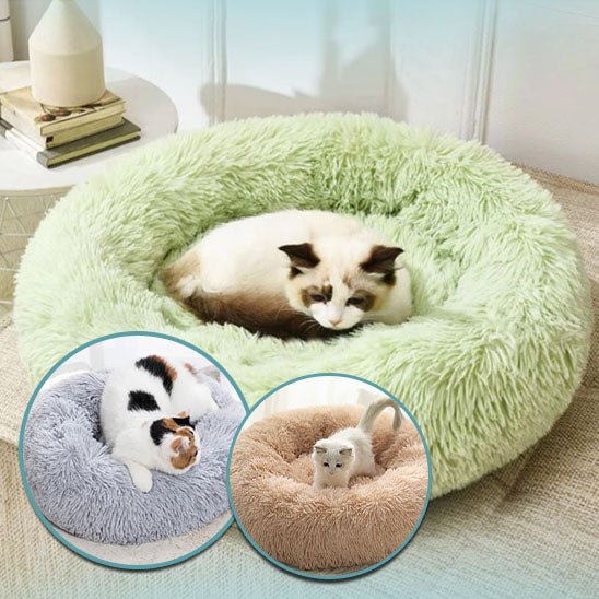 Coussin pour chat - DodoNut™ - Les Chats Choyés