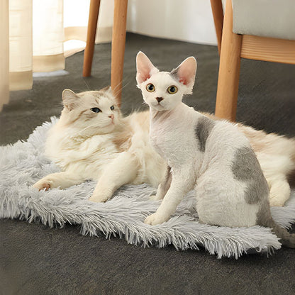 Coussin pour chat Chadoux plat gris clair à poils longs, spacieux et confortable, partagé par deux chats reposés.