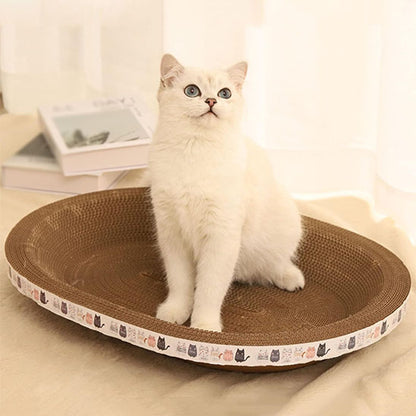 Griffoir pour chat confortable ScratchNap avec un chat blanc assis droit dans un griffoir ovale en carton, regardant vers le haut. Le décor est doux et lumineux, avec des livres et un rideau en arrière-plan.