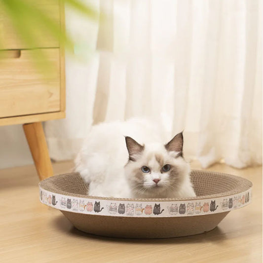 Griffoir pour chat relaxant ScratchNap avec un chat ragdoll assis dans un griffoir rond en carton devant une fenêtre voilée. Le griffoir est orné de motifs de chats stylisés tout autour du bord.
