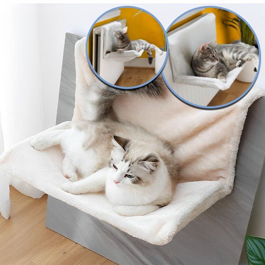 Hamac pour chat installé près du radiateur et sur rebord, parfait pour observation et sieste