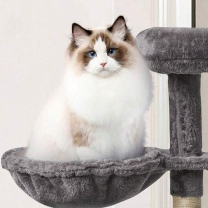 Hamac chat gris suspendu avec chat ragdoll installé sur arbre à chat