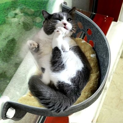 Chat allongé sur le dos dans un hamac Fenetroir avec intérieur peluche, parfait pour créer un cocon douillet.