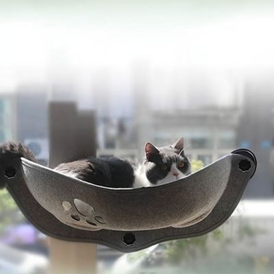 Chat installé confortablement dans le hamac Fenetroir suspendu, profitant d’une vue panoramique sur la ville.