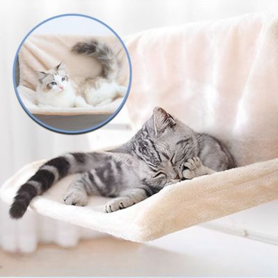Chat gris allongé dans un hamac pour chat intérieur avec fixation solide et résistante