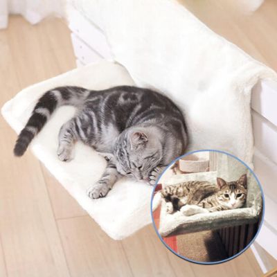 Chat gris dormant sur un lit pour chat relaxant, suspendu près d’un radiateur intérieur