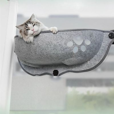 Chat blanc et gris endormi dans le hamac Fenetroir suspendu, avec coussin moelleux pour des siestes luxueuses en hauteur.
