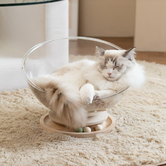 chat profondément endormi dans un lit pour chat enveloppant avec structure semi-fermée et confortable