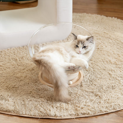 chat détendu dans un lit pour chat transparent avec visibilité à 360° depuis un cocon sécurisé