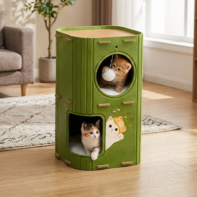Chatons installés dans une niche pour chat verte à deux niveaux avec jouet suspendu