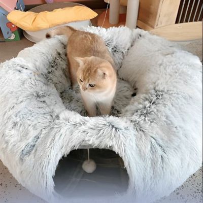 Chat jouant dans un tunnel pour chat avec balle suspendue et intérieur caché